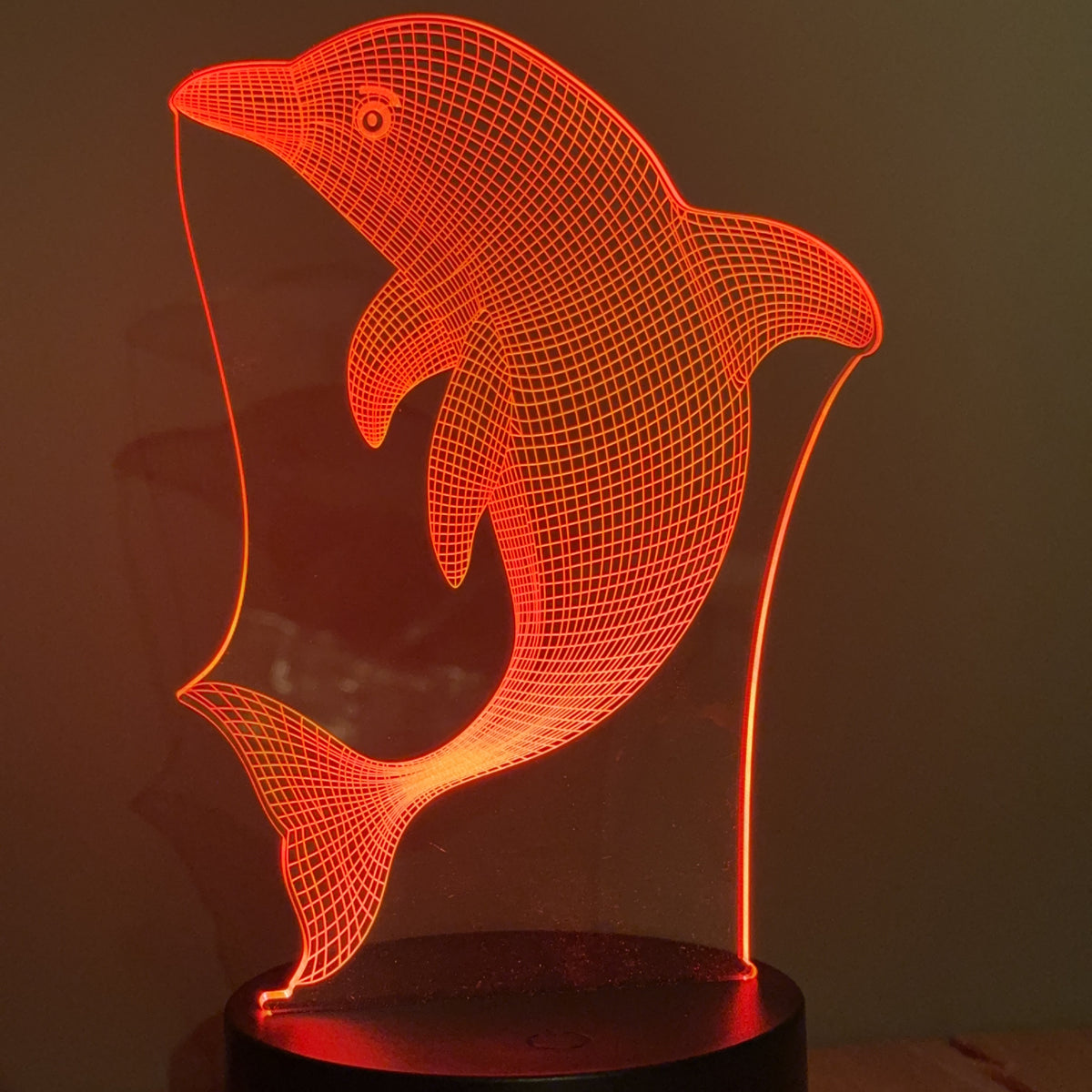 Dolphin