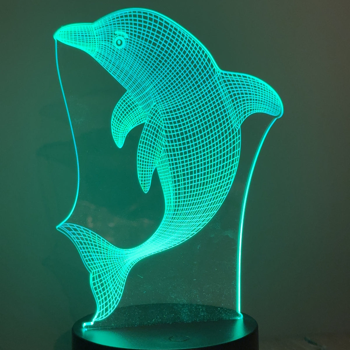 Dolphin