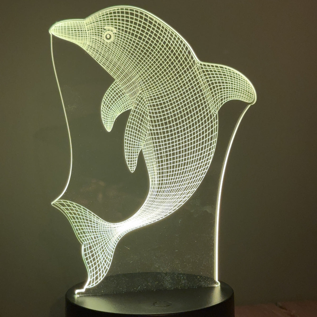 Dolphin