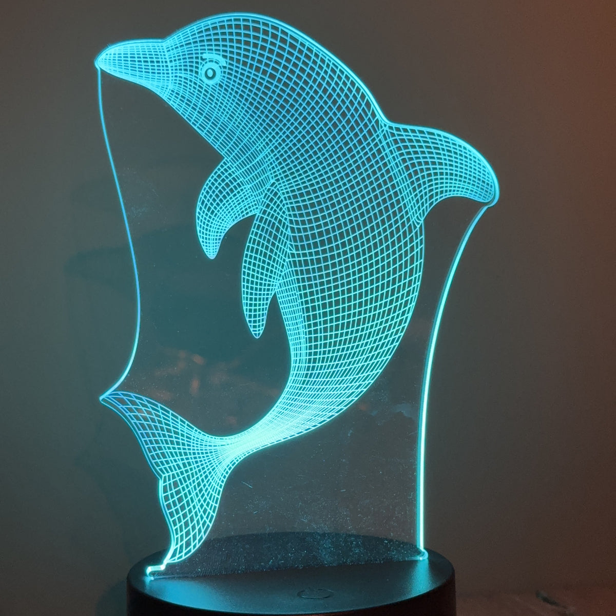 Dolphin