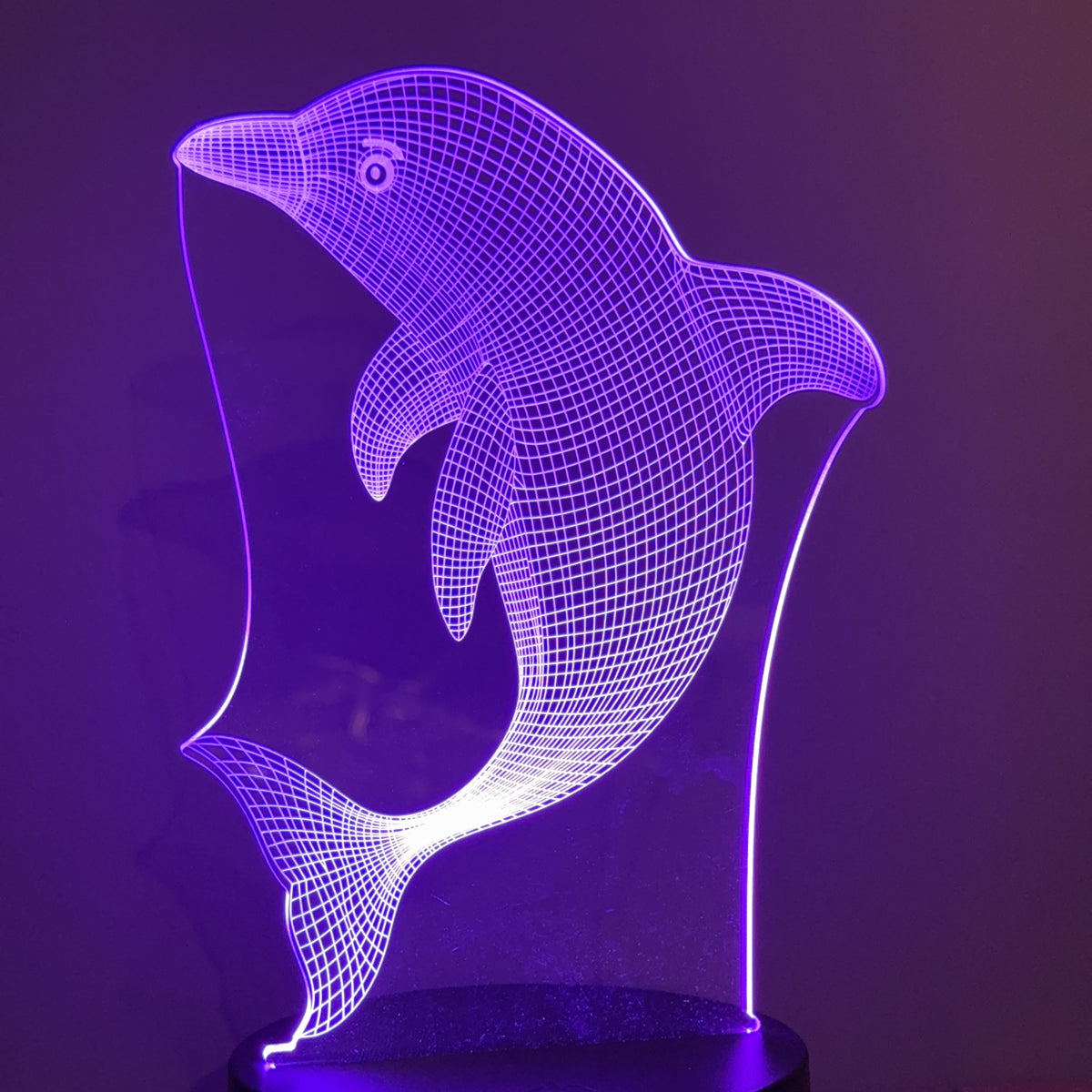 Dolphin