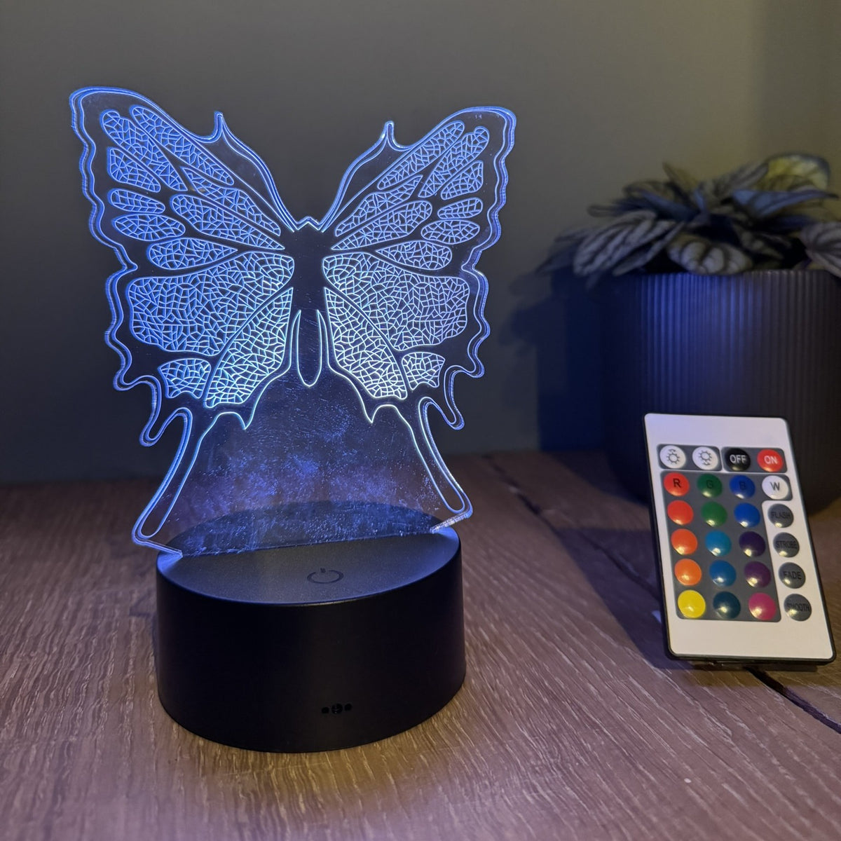 Schmetterling 3