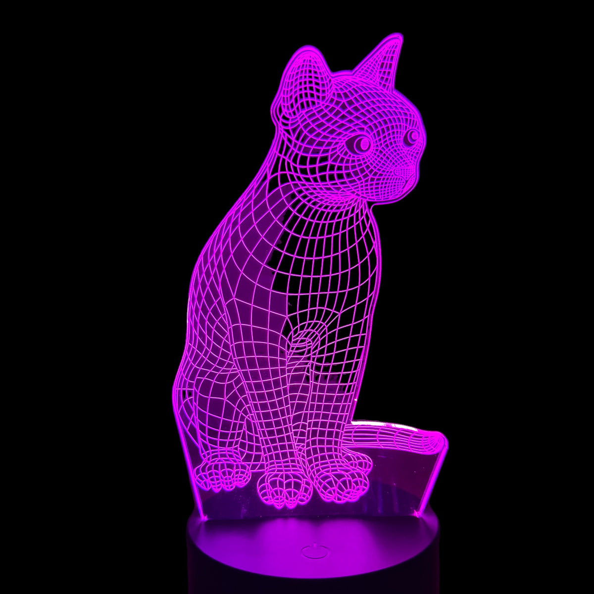 Kitten